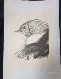 Emilio Greco litografia originale firmata.