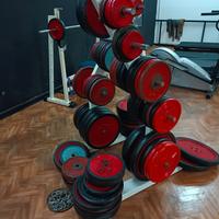 Palestra Manubri e dischi professionali Panatta