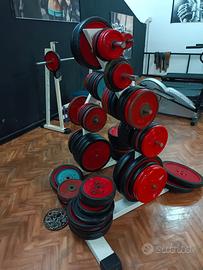 Palestra Manubri e dischi professionali Panatta