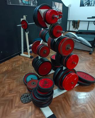 Palestra dischi professionali Panatta Fantastic