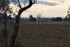 Terreno a vada