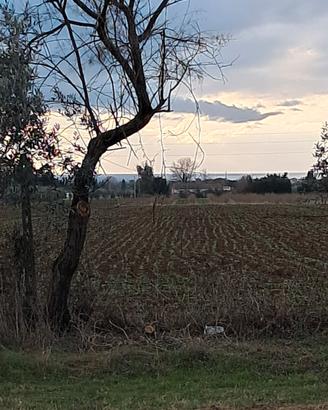 Terreno a vada