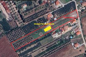 Terreno agricolo / edificabile con progetto