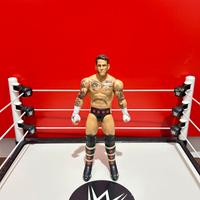 WWE Wrestling Action Figure Cm Punk
