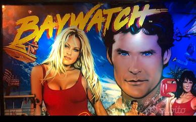 Flipper Baywatch