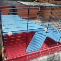 Gabbia coniglio imac benny 100