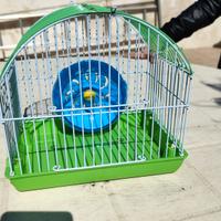 gabbia per criceti 