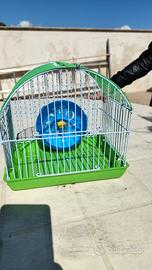 gabbia per criceti 