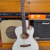 George Washburn Festival Series + custodia rigida