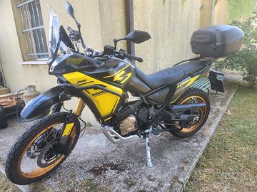 voge 800 rally