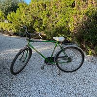 Bicicletta da passeggio vintage