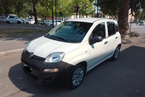 fiat New panda hibrid VAN 