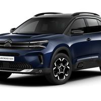 Musata e ricambi citroenn C5 aircross