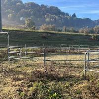 Recinzione fance per cavalli