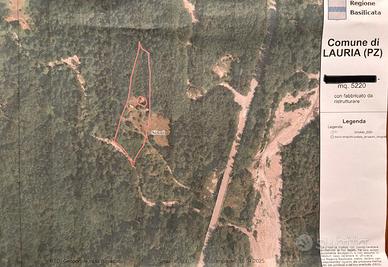 Casa da Ristrutturare con Ampio Terreno