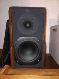 Chario Constellation Delphinus