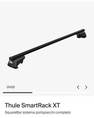 barre portatutto thule 