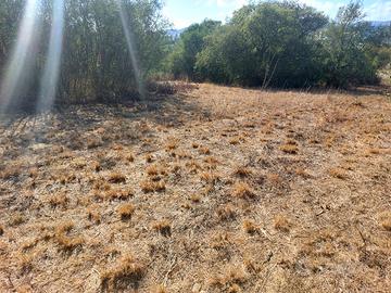 Terreno agricolo in buona posizione