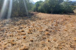 Terreno agricolo in buona posizione
