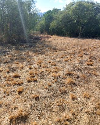 Terreno agricolo in buona posizione