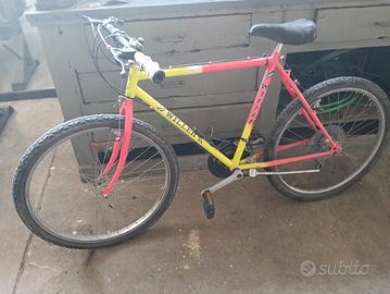 bicicletta Mountain bike usata