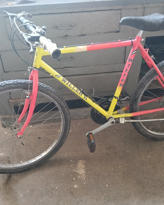 bicicletta Mountain bike usata