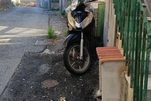Sh 300