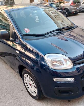FIAT Panda 1.2 70 Easy