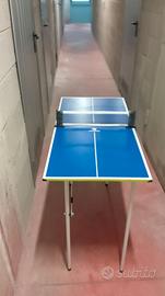 mini ping pong