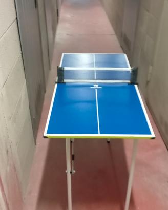 mini ping pong