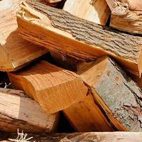 legna da ardere secca