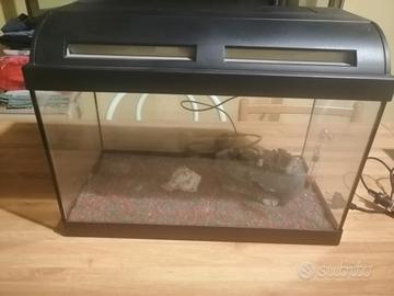 acquario Askoll 60 litri con accessori