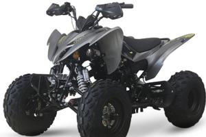 Quad Lem Motor  250  Nuovo in  Pronta Consegna