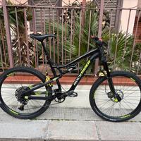 Mtb Rockrider Am 100s