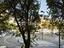 Immagine 9