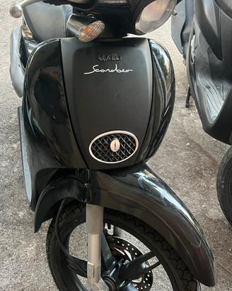 Scarabeo