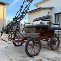 Calesse Inglese per cavalli piccola/media taglia