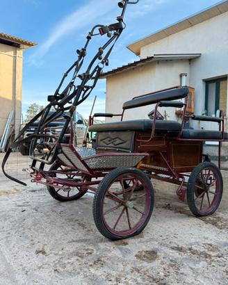 Calesse Inglese per cavalli piccola/media taglia