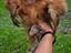 Immagine 2