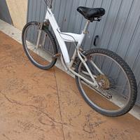 bicicletta MTB 