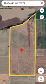 Terreno Irriguo Agricolo Pianeggiante 50000mq