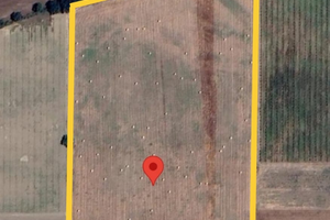 Terreno Irriguo Agricolo Pianeggiante 50000mq