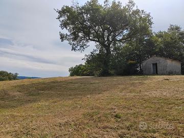 Panoramico terreno con annesso