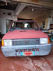 Panda young anno 2003 cc 1100