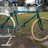 Bicicletta Mountain bike Trek 26 