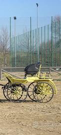 Carrozza maratona