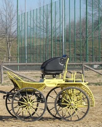 Carrozza maratona