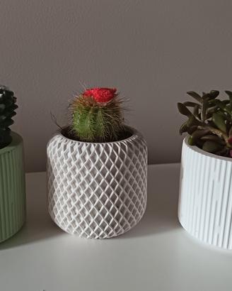 “Vasetto in ceramica piantina grassa decorativa