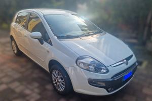 fiat punto evo benzina