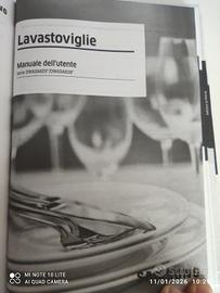 Lavastoviglie da incasso